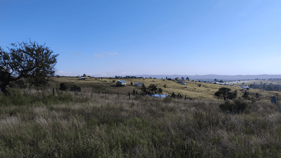 LOT3ARWhatsApp-Image-2025-02-19-at-17.21.17